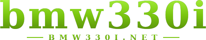 bmw330i logo